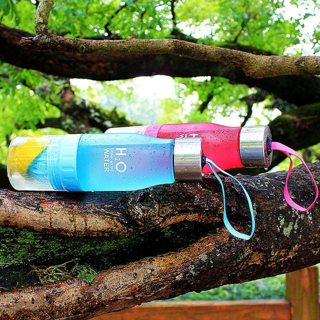 Bouteille d'eau pour infusion de fruits